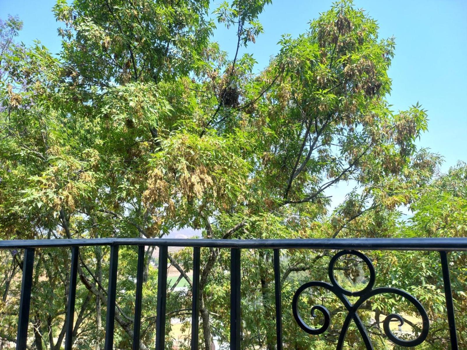 Solache Inn Zitácuaro Rum bild